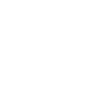 Icon Assessment