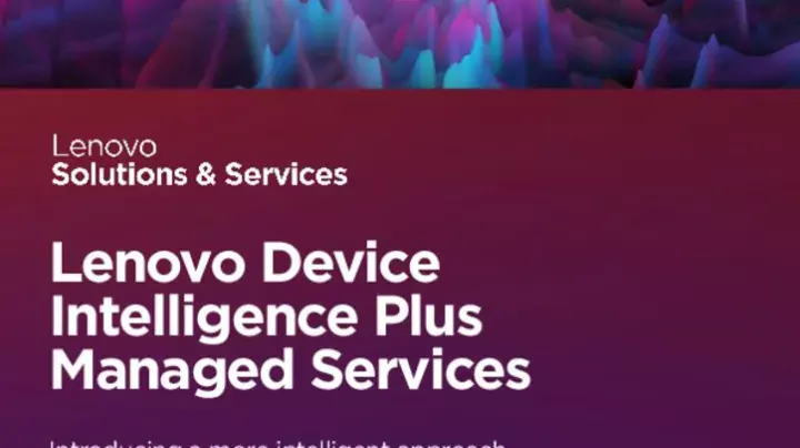 LDI-Plus-Managed-Services-Customer-Brochure_pdfpreview