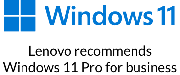 Windows 11 logo