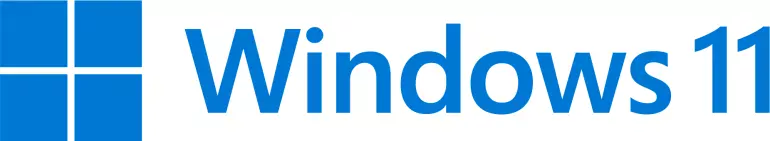 Windows 11 logo blue